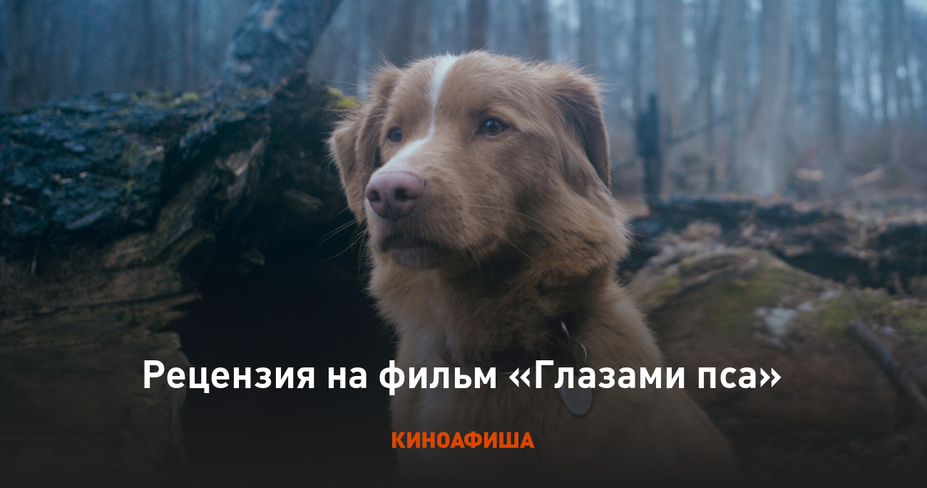 «Глазами пса»: Рецензия Киноафиши